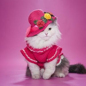 Meet your Posher, Tia